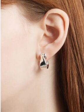 2 Pairs Of  Jenny Bird Earrings In POLISH SILVER/Gold.. NEW On Original Card